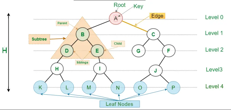 image of Trees algorithm